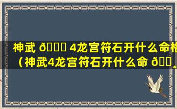 神武 💐 4龙宫符石开什么命格（神武4龙宫符石开什么命 🕸 格最好）